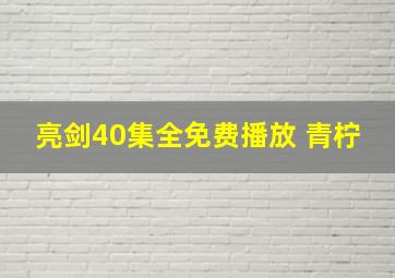 亮剑40集全免费播放 青柠